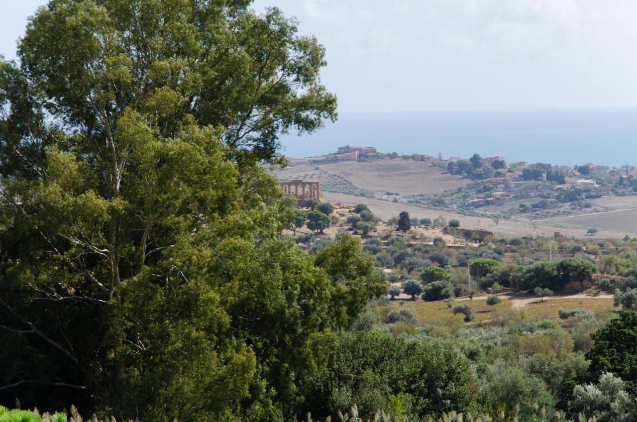 Panoramica Dei Templi B&B Agrigento Eksteriør bilde